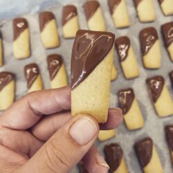 İskoç Kurabiyesi Tarifi, Nasıl Yapılır?