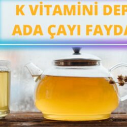 K Vitamini Deposu Ada Çayı Faydaları