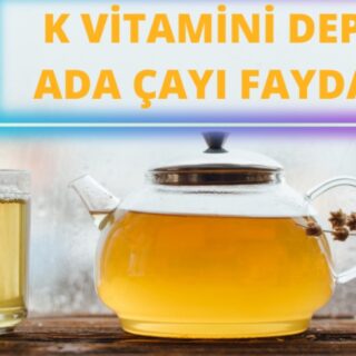 K Vitamini Deposu Ada Çayı Faydaları
