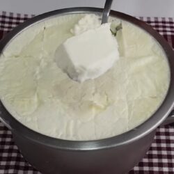 Tüm Püf Noktalarıyla Taş Gibi Yoğurt Mayalama Tarifi