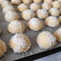 Hindistan Cevizli Kartopu Kurabiye Tarifi