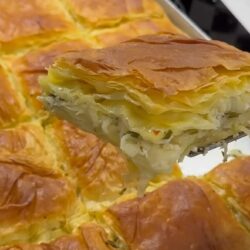 Yarım Saatte 1 Tepsi Dolusu Su Böreği Tarifi