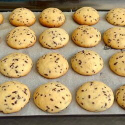 Ağızda Kıyır Kıyır Dağılan Bitli Kurabiye Tarifi